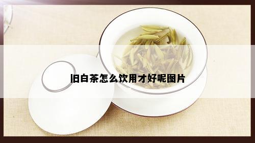 旧白茶怎么饮用才好呢图片