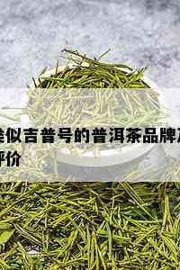 类似吉普号的普洱茶品牌及评价