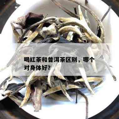 喝红茶和普洱茶区别，哪个对身体好？