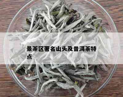 景茶区著名山头及普洱茶特点