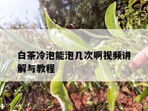 白茶冷泡能泡几次啊视频讲解与教程