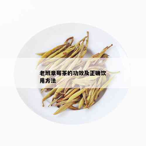 老班章莓茶的功效及正确饮用方法