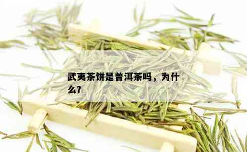 武夷茶饼是普洱茶吗，为什么？