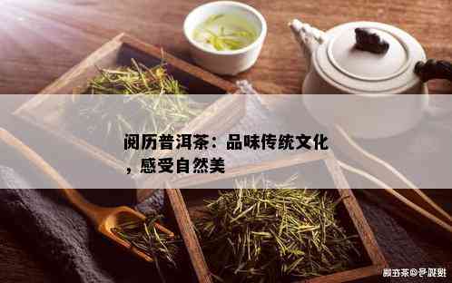 阅历普洱茶：品味传统文化，感受自然美