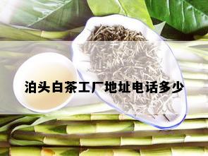 泊头白茶工厂地址电话多少