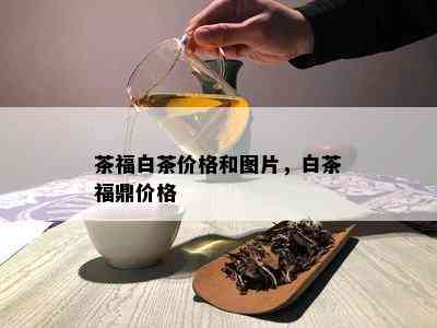 茶福白茶价格和图片，白茶福鼎价格