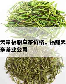 天豪福鼎白茶价格，福鼎天毫茶业公司