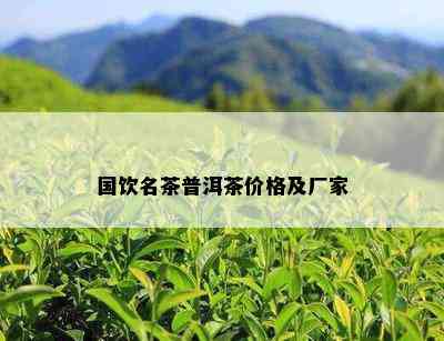 国饮名茶普洱茶价格及厂家