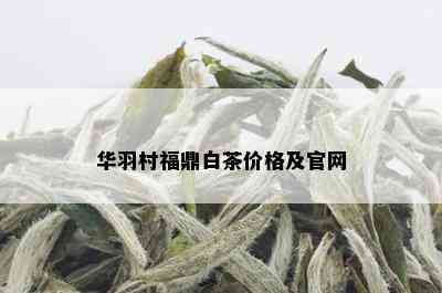 华羽村福鼎白茶价格及官网