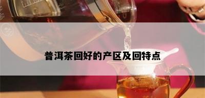 普洱茶回好的产区及回特点