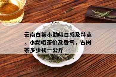 云南白茶小勐峨口感及特点，小勐峨茶价及香气，古树茶多少钱一公斤