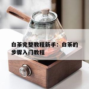 白茶完整教程新手：白茶的步骤入门教程