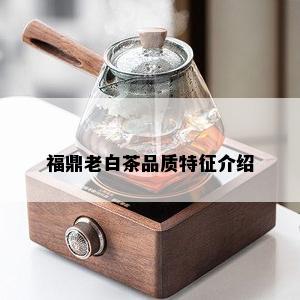 福鼎老白茶品质特征介绍