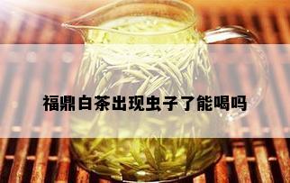 福鼎白茶出现虫子了能喝吗