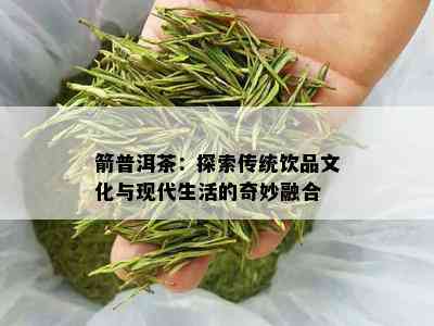 箭普洱茶：探索传统饮品文化与现代生活的奇妙融合