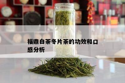 福鼎白茶冬片茶的功效和口感分析