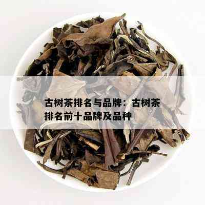 古树茶排名与品牌：古树茶排名前十品牌及品种