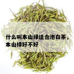 什么叫本山绿适合泡白茶，本山绿好不好