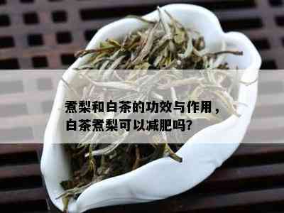 煮梨和白茶的功效与作用，白茶煮梨可以减肥吗？