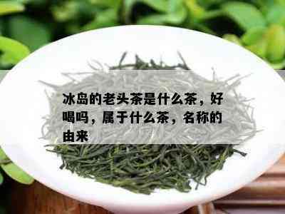 冰岛的老头茶是什么茶，好喝吗，属于什么茶，名称的由来