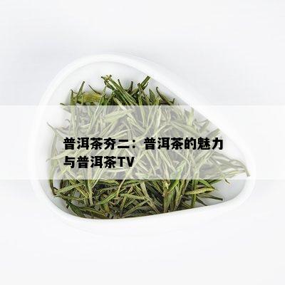 普洱茶夯二：普洱茶的魅力与普洱茶TV