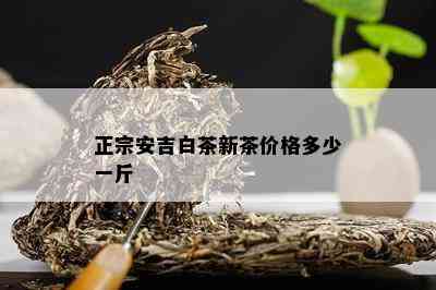 正宗安吉白茶新茶价格多少一斤