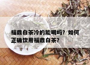 福鼎白茶冷的能喝吗？如何正确饮用福鼎白茶？