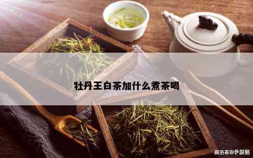 牡丹王白茶加什么煮茶喝