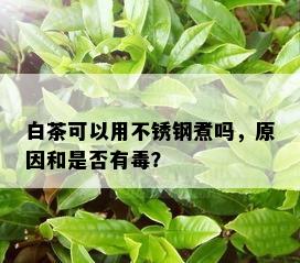 白茶可以用不锈钢煮吗，原因和是否有？