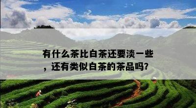 有什么茶比白茶还要淡一些，还有类似白茶的茶品吗？