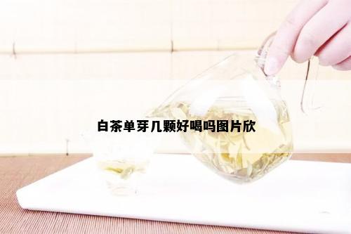 白茶单芽几颗好喝吗图片欣