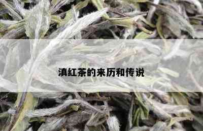 滇红茶的来历和传说