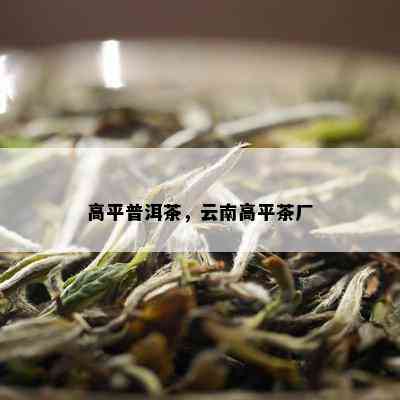 高平普洱茶，云南高平茶厂