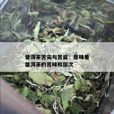 普洱茶苦尖与苦底：意味着普洱茶的苦味和层次