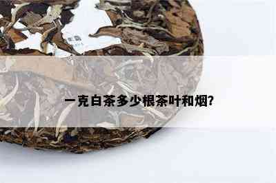 一克白茶多少根茶叶和？