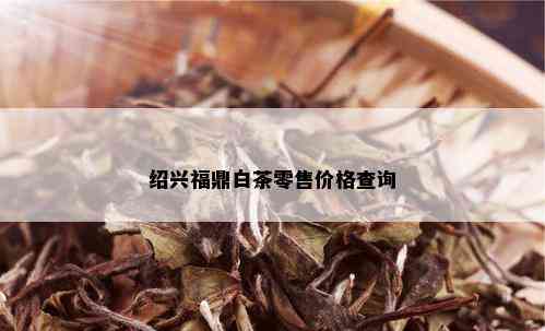 绍兴福鼎白茶零售价格查询