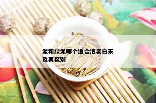 泥和绿泥哪个适合泡老白茶及其区别