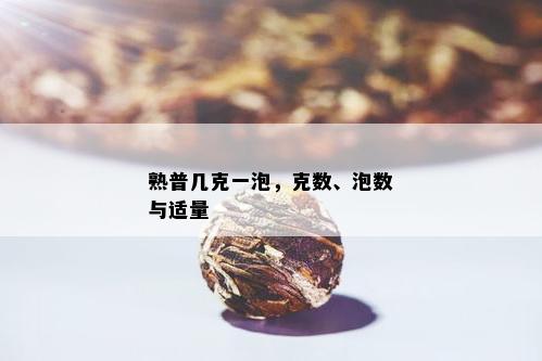 熟普几克一泡，克数、泡数与适量