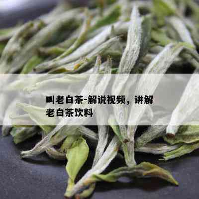 叫老白茶-解说视频，讲解老白茶饮料