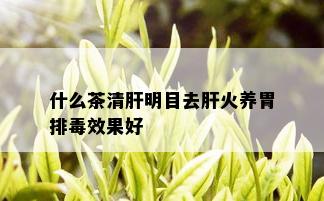 什么茶清肝明目去肝火养胃排效果好