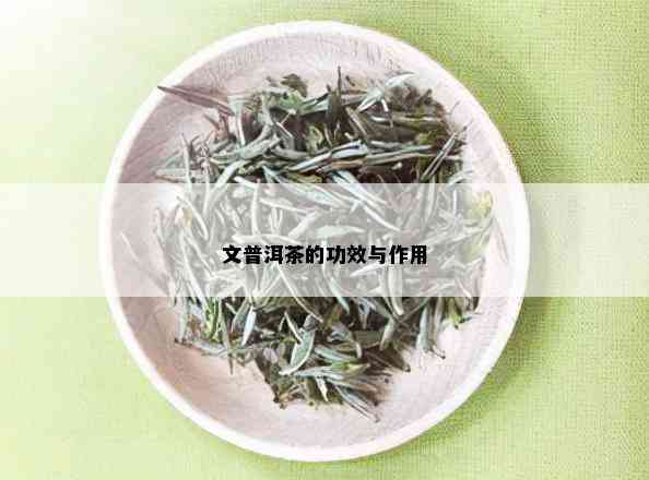 文普洱茶的功效与作用