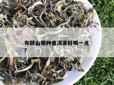 布朗山哪种普洱茶好喝一点？