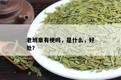 老班章有梗吗，是什么，好处？