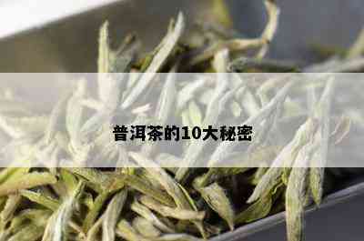 普洱茶的10大秘密