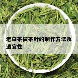 老白茶做茶叶的制作方法及适宜性