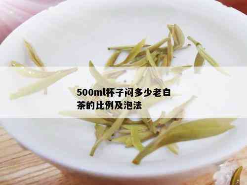 500ml杯子闷多少老白茶的比例及泡法