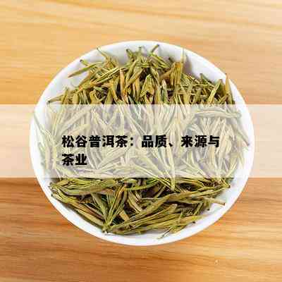 松谷普洱茶：品质、来源与茶业