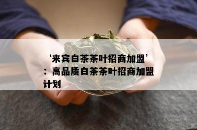 ‘来宾白茶茶叶招商加盟’：高品质白茶茶叶招商加盟计划