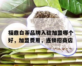 福鼎白茶品牌入驻加盟哪个好，加盟费用，连锁招商店