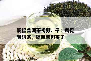 调侃普洱茶视频、子：调侃普洱茶，搞笑普洱茶子